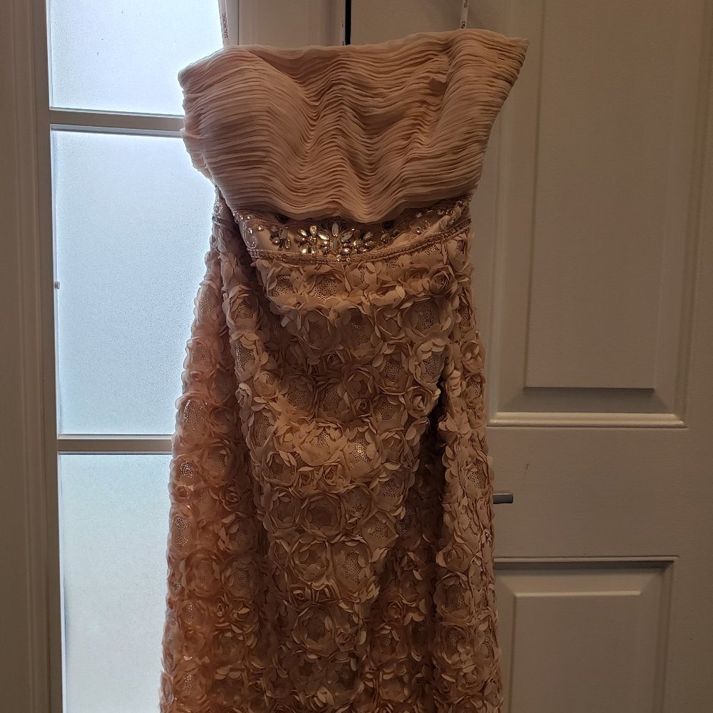 Sue Wong Pink Strapless Dress - Size 8